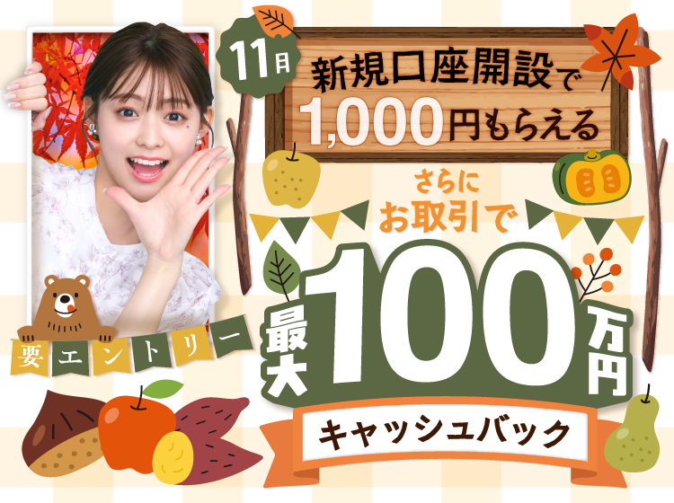 ⭐︎大特価！11月限定イドラリッシュキャンペーン⭐︎ 冬の大特価！】11月キャンペーンまとめ✨あの人気施術もお手頃価格