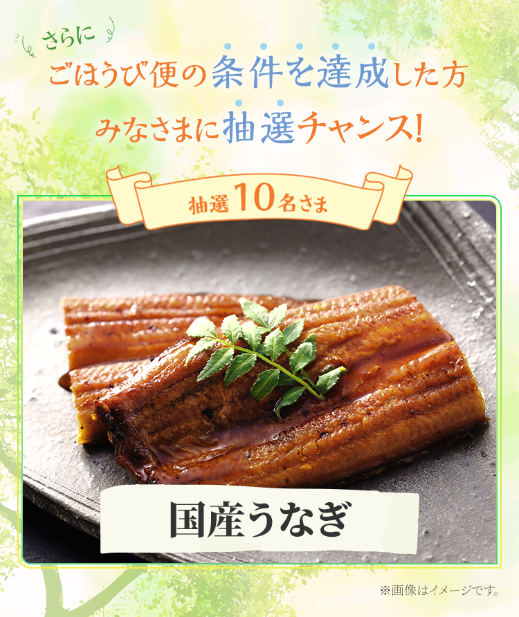 さらに抽選でプレゼント