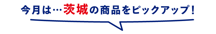今月は…茨城の商品をピックアップ!