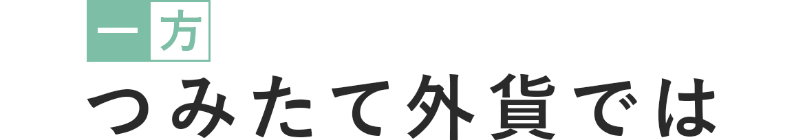 一方つみたて外貨では