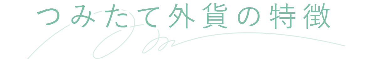 つみたて外貨の特徴