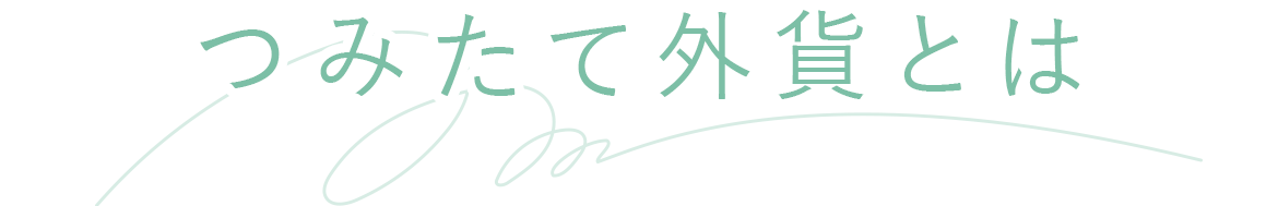 つみたて外貨とは