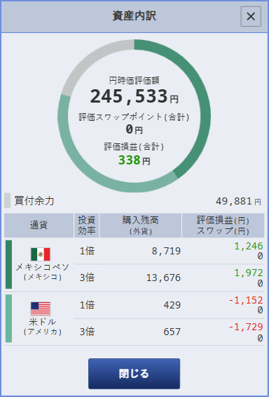 2025年6月30日時点のつみたて外貨口座の運用状況