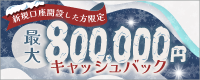 SBI FXトレードの公式ホームページからの口座開設申込によって、2023年12月に新規口座開設が完了し、2024年2月1日(木)6時30分までに30万通貨以上に達したお客さまを対象に取引高に応じてキャッシュバックいたします。また、キャンペーンへのエントリーが必要となります。