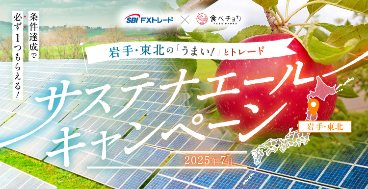 【中古】 金運株式投資手帳 ２００６/中経出版/ストックボイス 株価チャート練習帳 スイング&デイトレ編 | 秋津 学 |本 | 通販