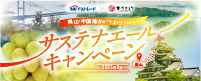 キャンペーン期間中において、「SBI FXTRADE」のお取引条件を達成したお客さまに、もれなくサステナブルな商品を一つプレゼントいたします！また、平均預かり資産500万円以上の方の中から抽選でさらにプレゼントも！