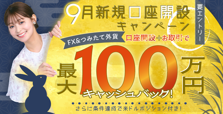 24時間以内発送コンビニ支払いも歓迎】理想と平和の決断(銀
